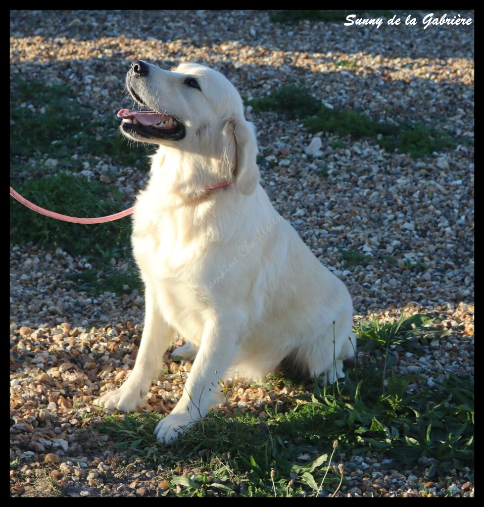 Sunny de la Gabrière