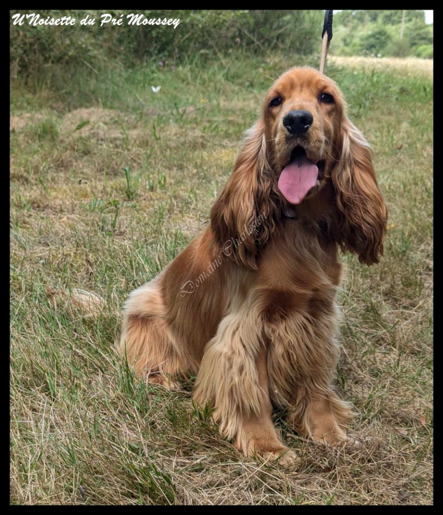 U'noisette Du pré moussey