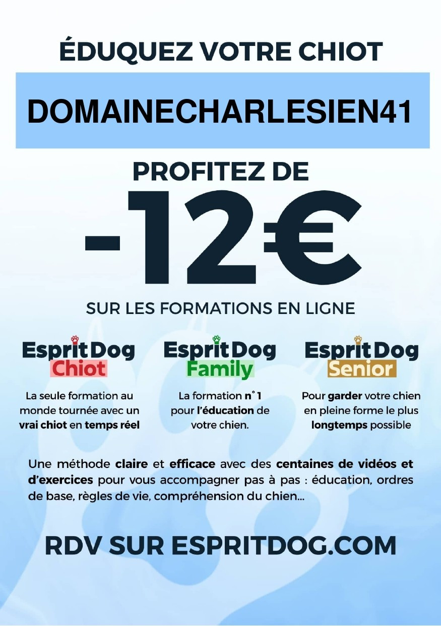 Formation accueil du chiot!